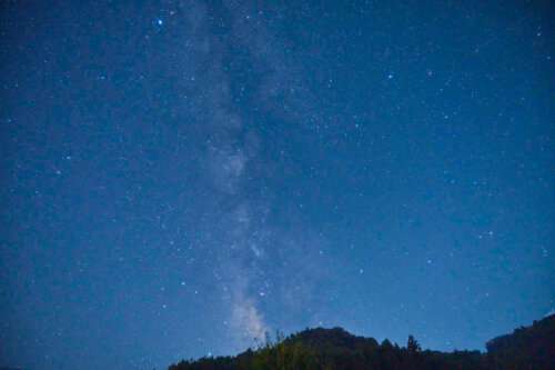 くすの木の星空