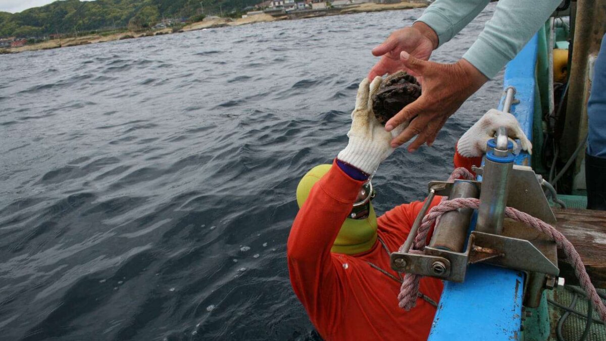 アワビを獲った海士